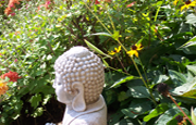 Praying Mantis on Buddha