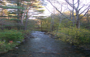 Flowing Stream